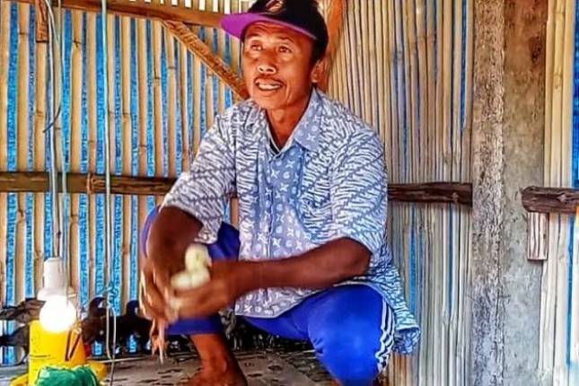 Program Bekerja Kementan, Semangat Beternak di Lampung Selatan Meningkat