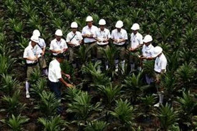 Asian Agri Komitmen Kembangkan Energi Terbarukan
