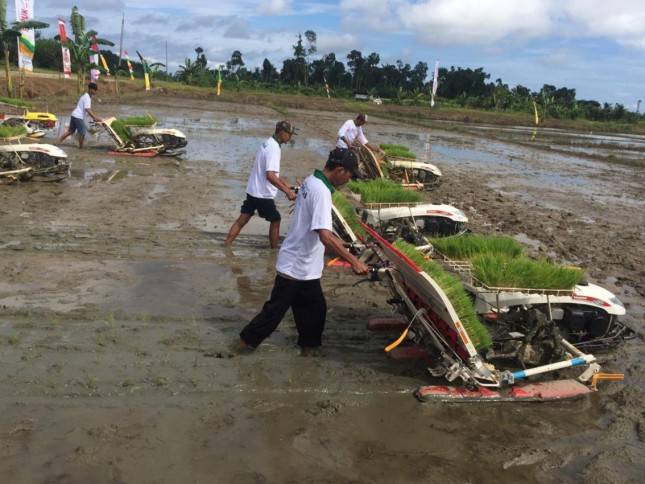 Berjibaku Bangun Klaster Pangan, Ada Apa?