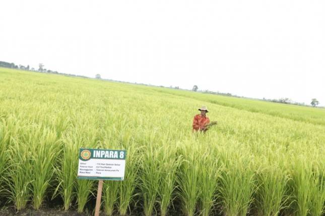 Investasi Penanaman Modal Dalam Negeri Sektor Pertanian Terkerek 47,5 Persen  