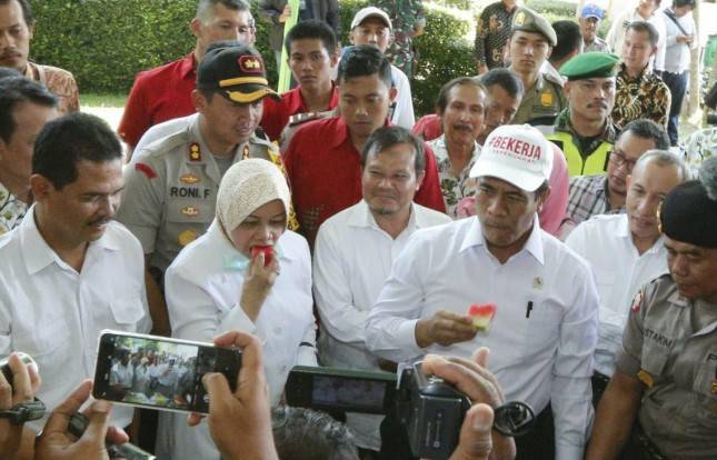 Mentan Lepas Ekspor Benih Kangkung, Jagung ke China