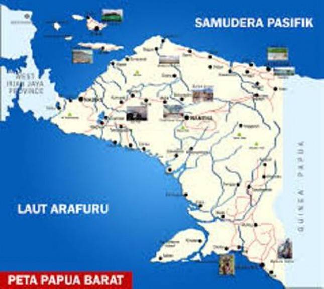 Residen Jokowi Didorong Bentuk Special Envoy untuk Papua