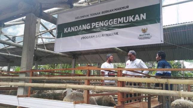BAZNAS Kembangkan Balai Ternak di Magelang