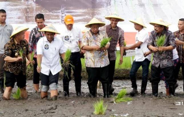 Mulai di Malang, KUR BNI Wujudkan Drying Center Petani