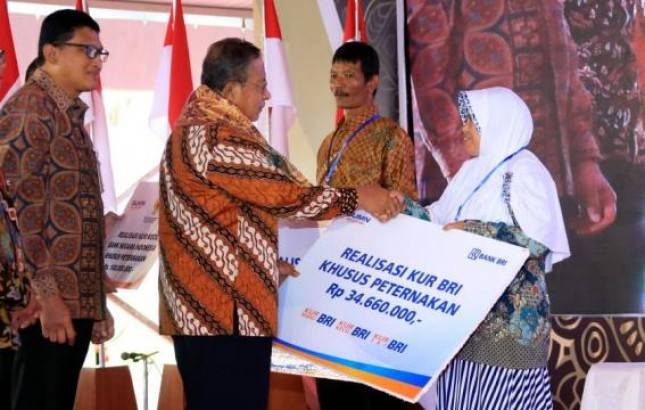 Bank BRI Sukseskan Peluncuran KUR Khusus Peternakan Rakyat