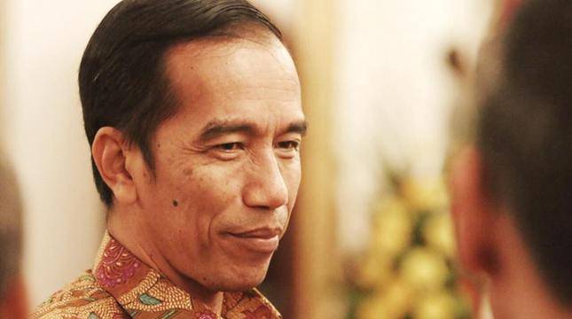 Agenda Presiden Jokowi Selama Kunker di Batam