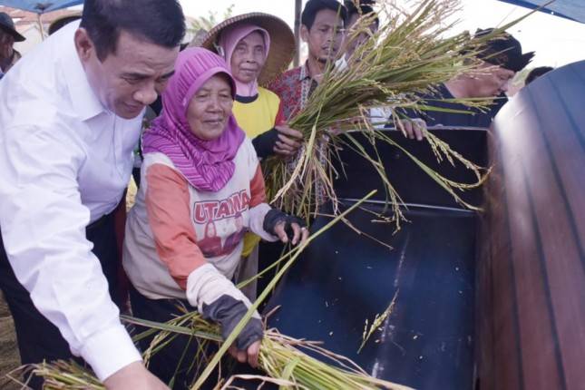 Tebar Bibit Unggul Tuai Kemajuan Pertanian