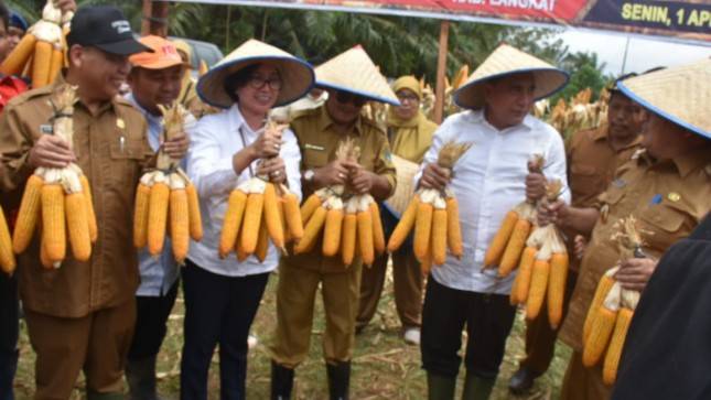 Percepatan Peningkatan Populasi, Kementan Dorong Upsus Siwab di Sumut