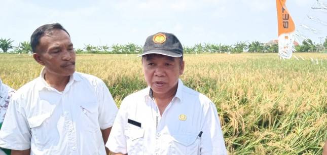 Dorong Produktifitas, Petani disarankan Mencoba Pupuk Cair Herbal