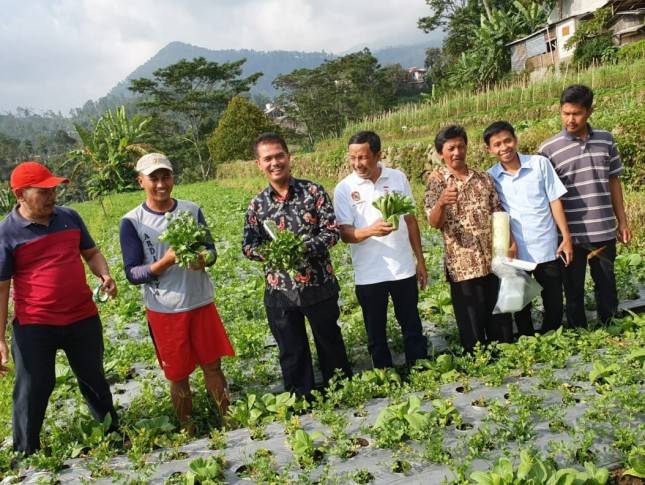 Kementan Genjot Pengembangan Sentra Sayuran Organik di Karanganyar