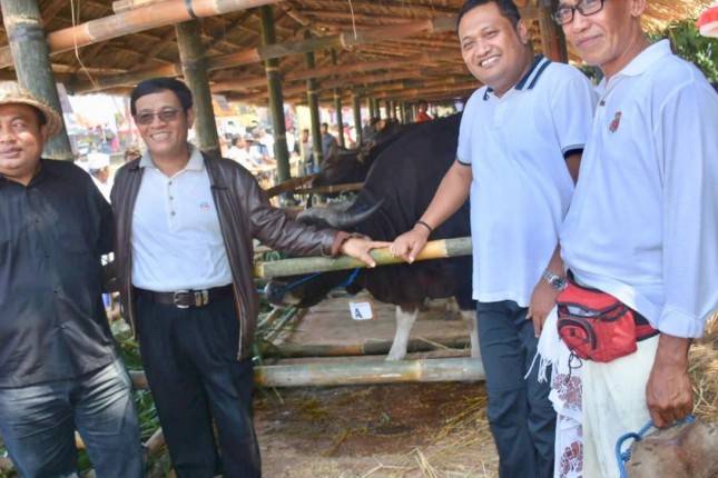 Kementan Dukung Kelestarian dan Kemurnian Sapi Bali