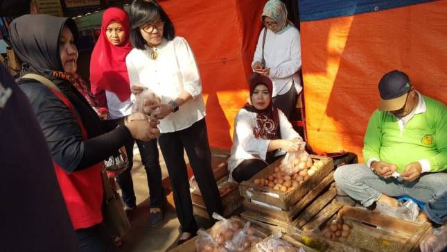 Tindak Tegas Pelaku yang Rugikan Peternak Ayam dan Telur