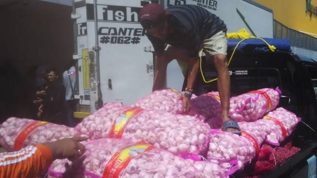 Uniknya Strategi Menuju Swasembada Bawang Putih