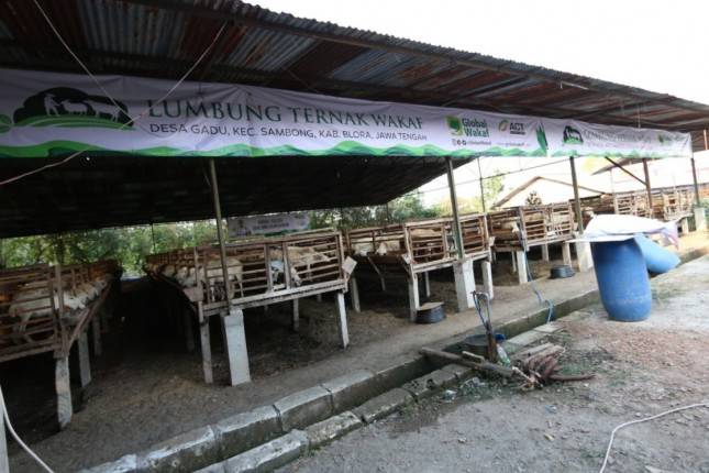 ACT Sebar Qurban 100 Ribu di Indonesia dan Internasional