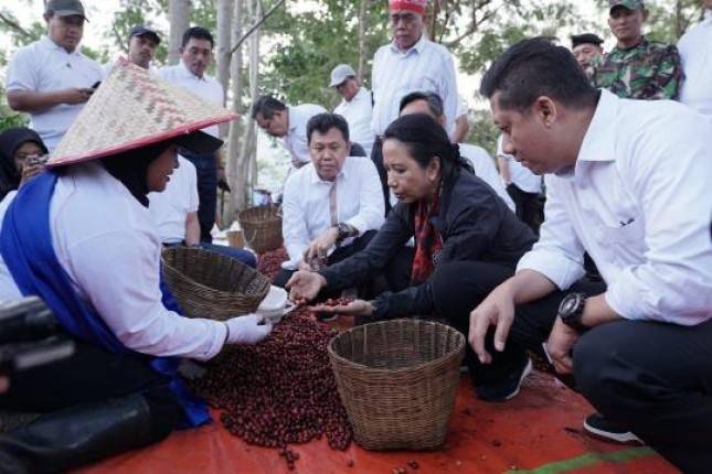 Menteri Rini: Kopi Arabica PTPN XII Sudah Diekspor ke AS, Eropa hingga Arab Saudi