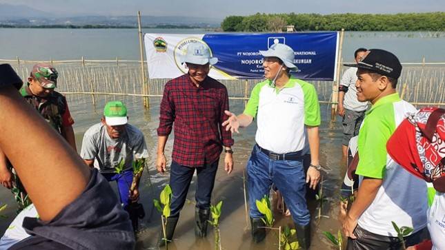 PT Nojorono Bersama Gubernur Ganjar Pranowo Tanam Mangrove