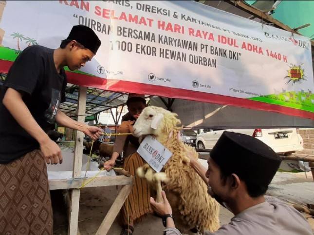 Bank DKI Salurkan Hewan Kurban ke 100 Masjid