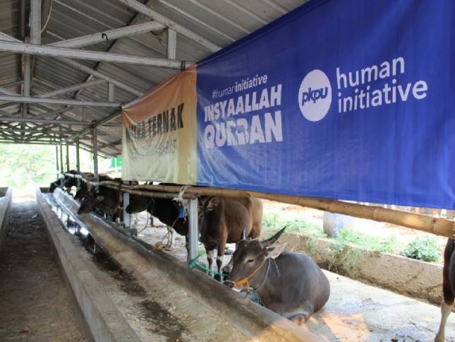 Human Initiative Distribusikan Qurban ke Berbagai Daerah Bencana