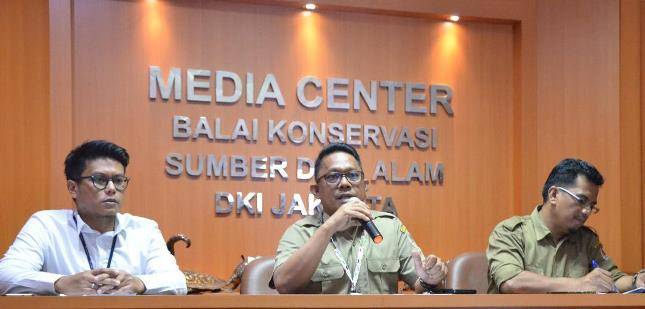 Sriwijaya Air Dukung KLHK Translokasi Satwa Langka Indonesia