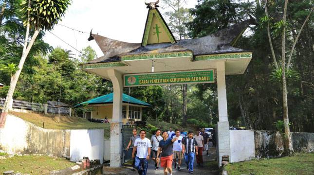 Simalungun Kembangkan Destinasi Agrowisata