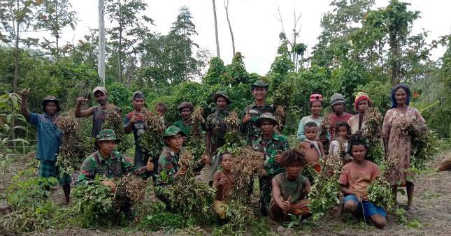 Satgas Yonif RK 136 Ajarkan Penduduk Suku Mausu Ane Mengolah Lahan Kosong