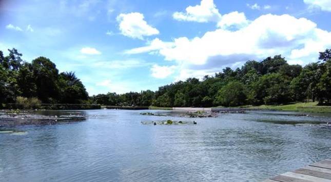 Enam Tempat Wisata Menarik di Cibinong Bogor