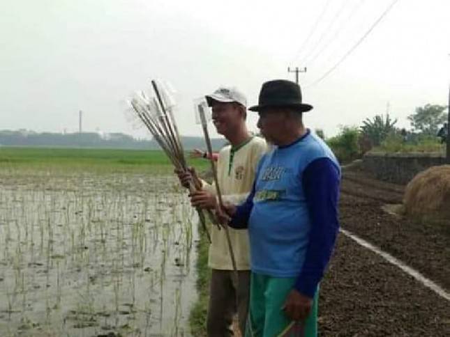 Petani Kalbar Manfaatkan Agens Hayati, Solusi Pengendalian OPT Ramah Lingkungan