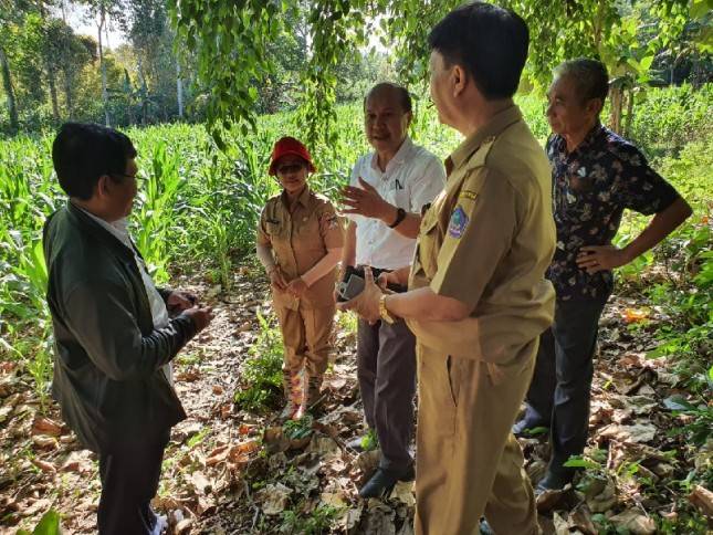 Perguruan Tinggi Serius Dampingi Pilot Project Korporasi Perbenihan Jagung Hibrida 