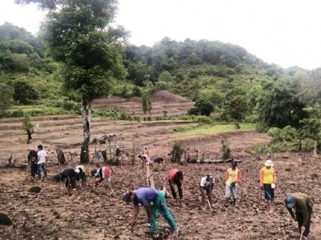 Kementan Genjot Tanam Lahan Kering Tadah Hujan