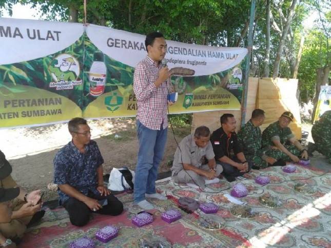Kementan Aktif Lakukan Bimtek Pengendalian Hama Ulat Grayak Frugiperda