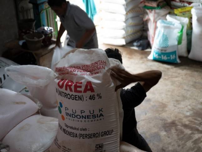 Tanggapi Isu Kelangkaan Pupuk, Kementan: Pupuk 2020 Cukup