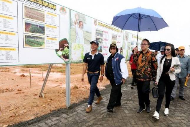 Menhut KLH Tinjau Lokasi Tanam Pohon HPN 2020 Banjarmasin