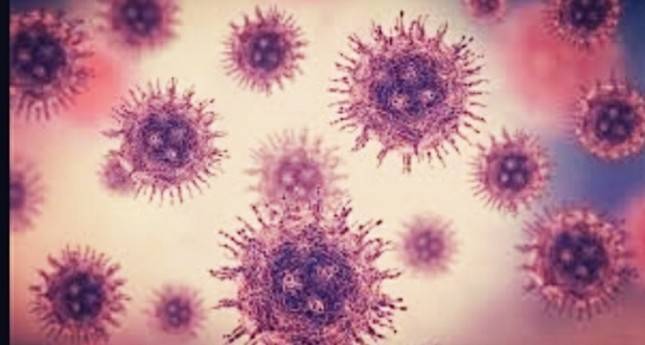 Coronavirus-themed Spam Spreads Emotet Malware