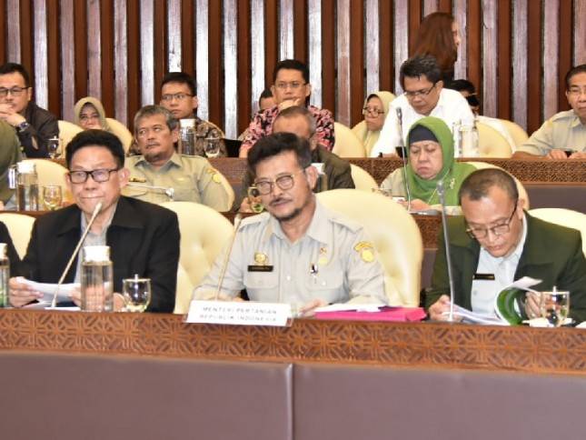 Alih Fungsi Lahan Pertanian Bikin Swasembada Pangan Terhambat