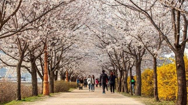 Jaring Wisman Korsel, Kemenpar Gelar Sales Mission di Seoul dan Busan
