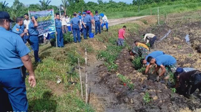 Ranting F Cabang 1 Yonmarhanlan XII Laksanakan Penghijauan