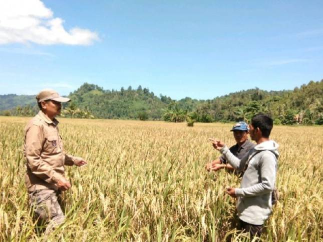 Kementan Prioritaskan Peningkatan Sapras Penyuluh Pertanian