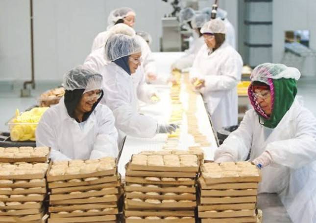 RUU Kawasan Industri, Wajib Ada Pembinaan IKM dan UMKM