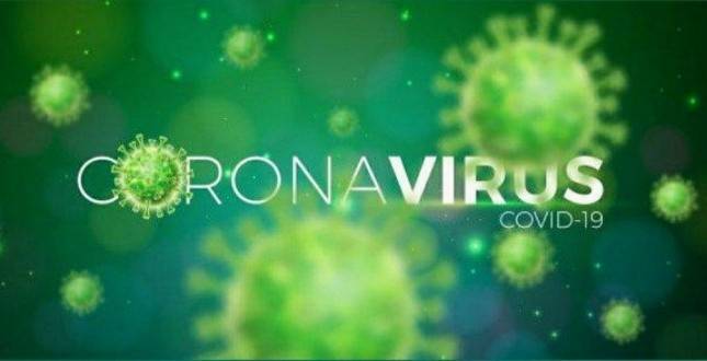 A Perfect Storm: the Security Challenges of Coronavirus Threats and Mass Remote Working