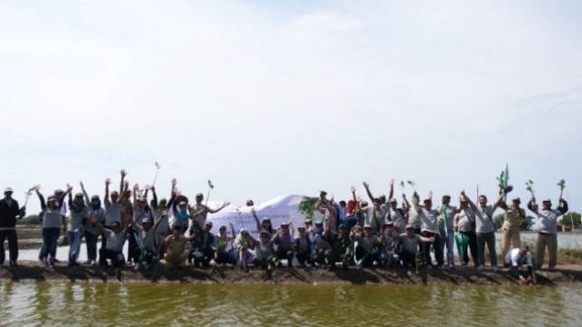 Jababeka Ajak Tenant Tanam 10.000 Pohon Mangrove di Pantai Pesisir Bekasi