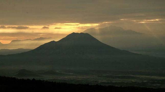 Serunya Memetik Teh Sambil Menikmati Sunrise di Bukit Inspirasi, Lumajang