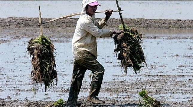 Menteri Desa Didesak Benahi Instrumen Dana Desa