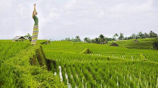 Catat! Ini Kota di Indonesia yang Selenggarakan Hari Yoga Internasional yang ke-4