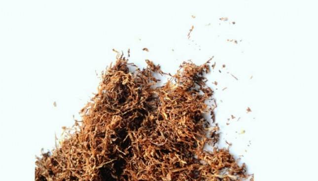 Klaim Tembakau Jadi Obat Covid-19, Raksasa Industri Rokok Dunia BAT Siap Lakukan Uji Klinik Vaksin Ke Manusia