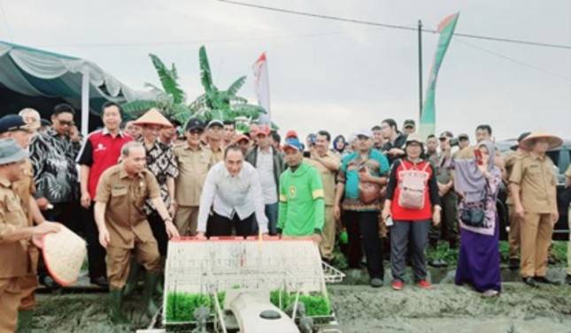 Gubernur Sumut: Strategi Antisipasi Krisis Pangan di Tengah Pandemi Covid-19