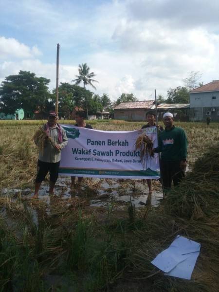 Baitul Wakaf Sebut Beras Komoditas Penting Pesantren 