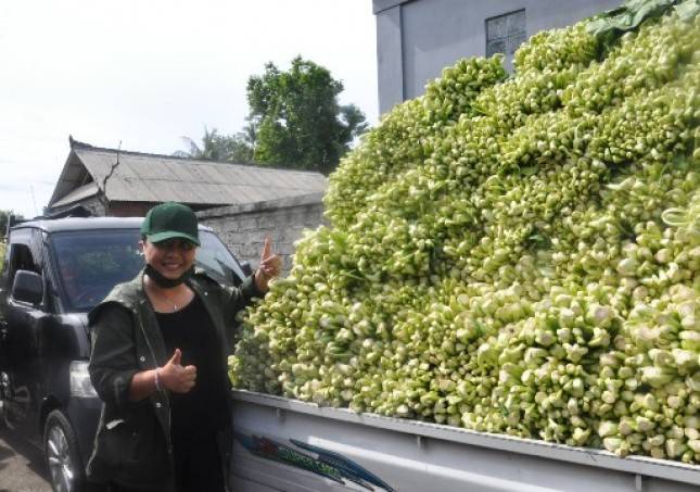 Peduli Ketahanan Pangan Bupati Tabanan Ni Putu Eka Borong 10 Ton Hasil Panen