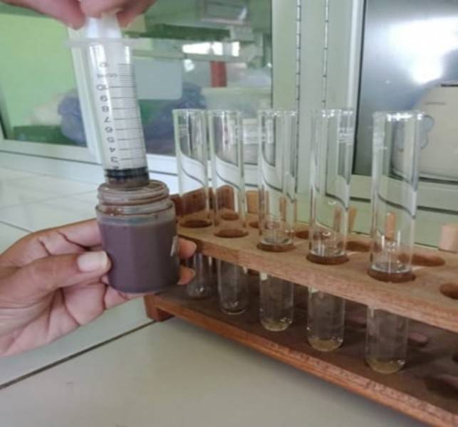 Kabar Gembira! Ini Agens Hayati Ramah Lingkungan Basmi Hama