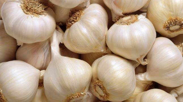 Harga Bawang Putih di Kalimantan Timur Capai Rp100.000/ Kg