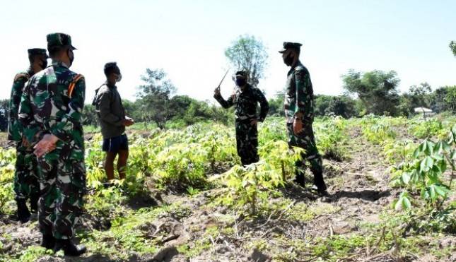 Prajurit Puslatpurmar 3 Grati Pasuruan Tingkatkan Ketahanan Pangan